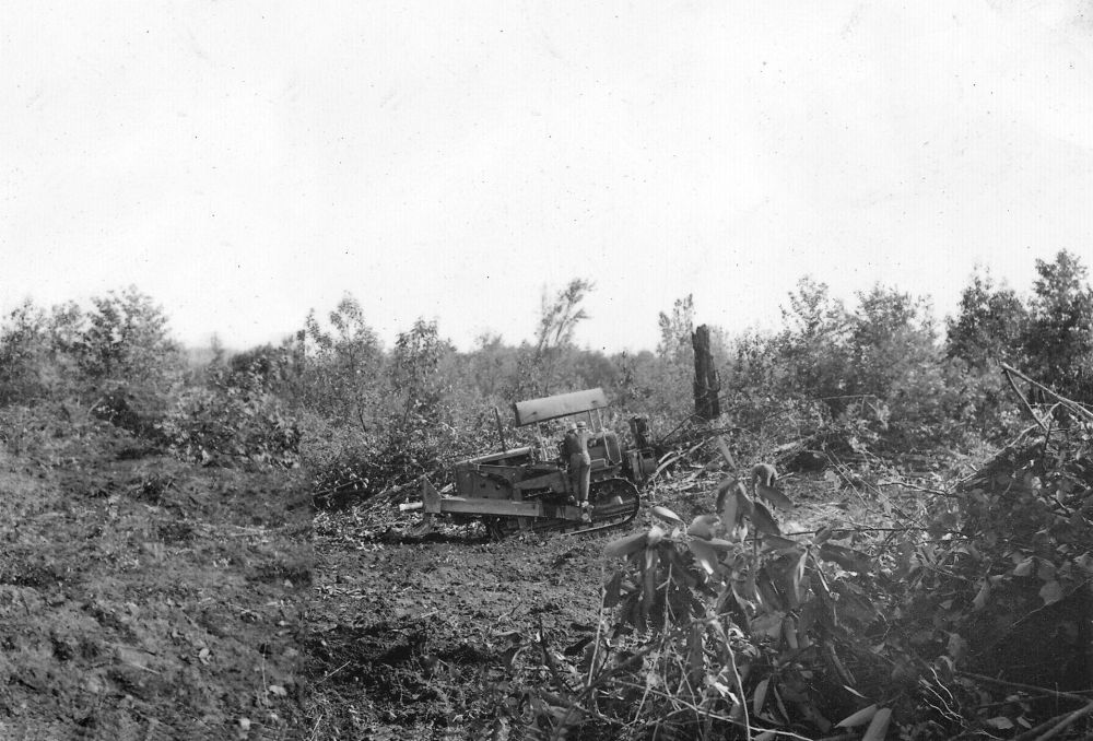 Clearing the grounds